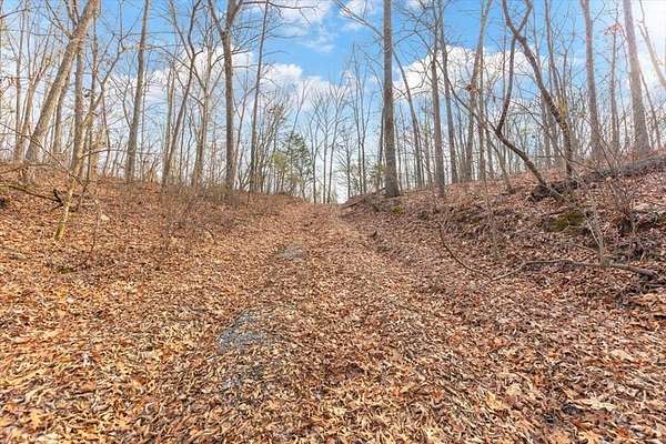 13 Acres of Land for Sale in Dalton, Georgia