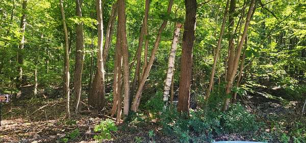 11 Acres of Land for Sale in Sanford, Maine