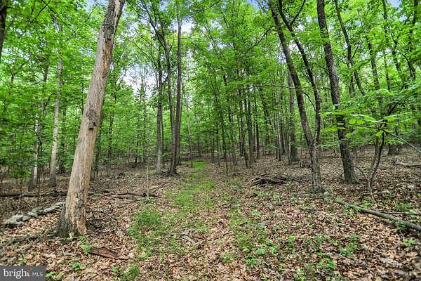 54.9 Acres of Recreational Land for Sale in Newport, Pennsylvania