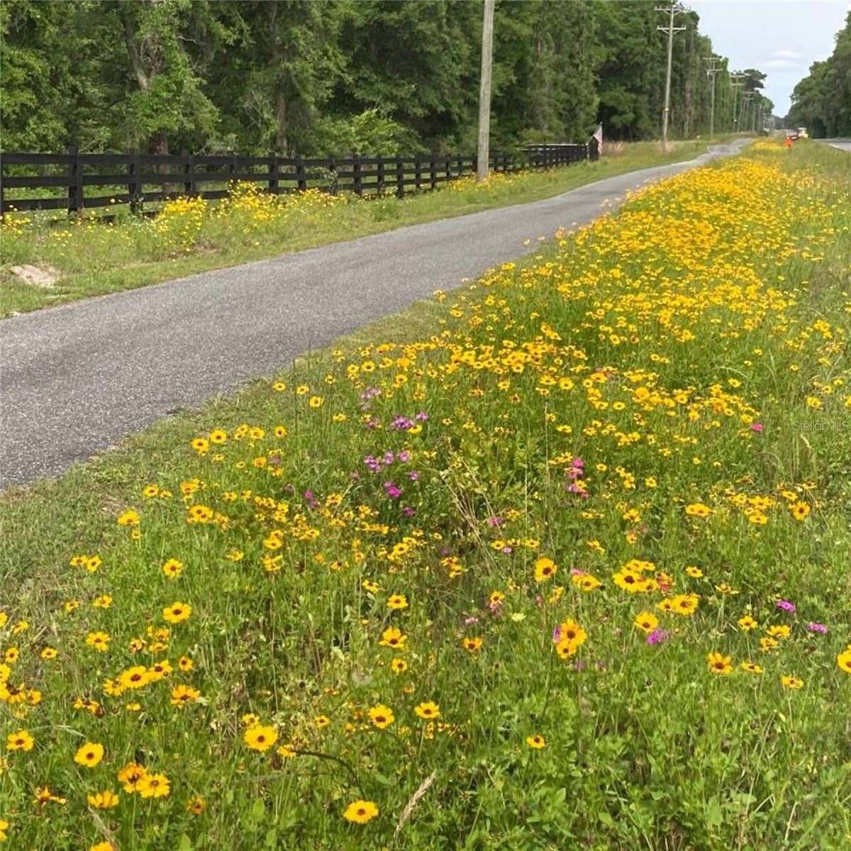 2.5 Acres of Residential Land for Sale in Fort White, Florida