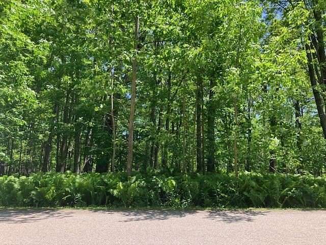 1 Acre of Residential Land for Sale in Alanson, Michigan