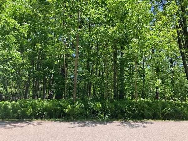 1 Acre of Residential Land for Sale in Alanson, Michigan
