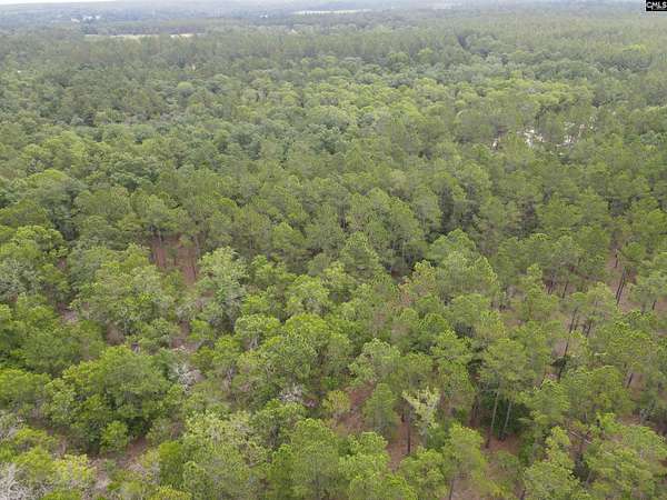 5.52 Acres of Residential Land for Sale in Cassatt, South Carolina