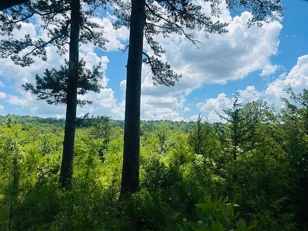 40 Acres of Recreational Land for Sale in Le Flore, Oklahoma