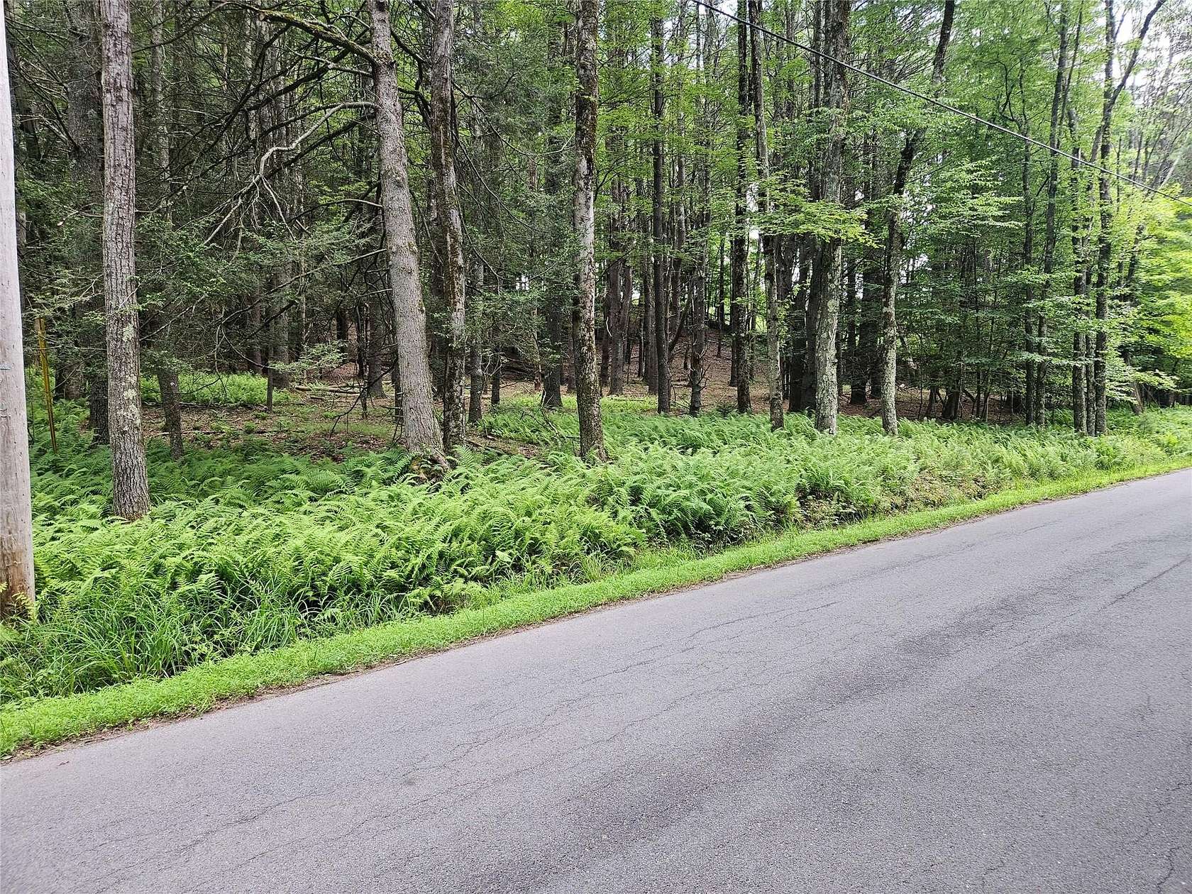 5.6 Acres of Residential Land for Sale in Kauneonga Lake, New York