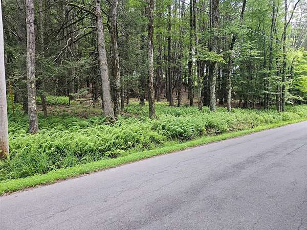 5.6 Acres of Residential Land for Sale in Kauneonga Lake, New York
