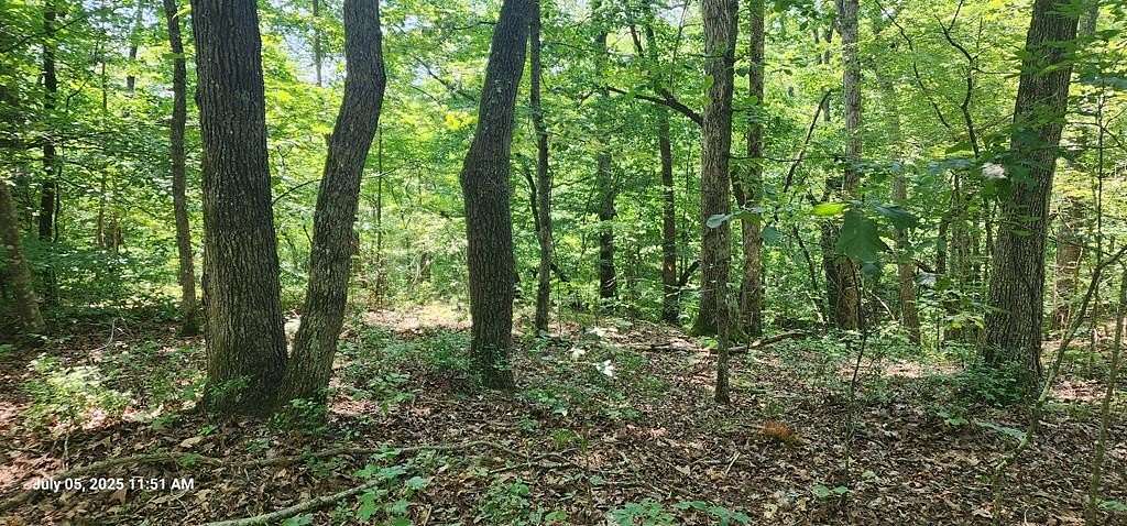 0.37 Acres of Residential Land for Sale in Sugar Tree, Tennessee