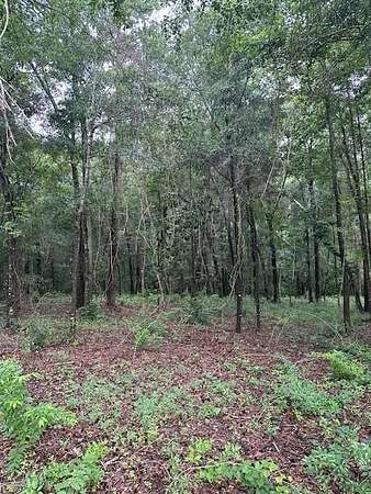 2 Acres of Residential Land for Sale in Eufaula, Alabama