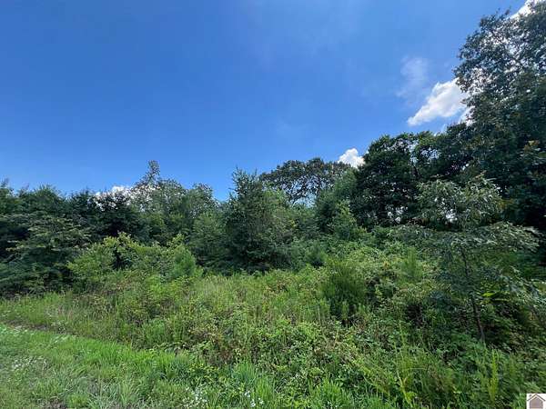 3 Acres of Residential Land for Sale in Murray, Kentucky