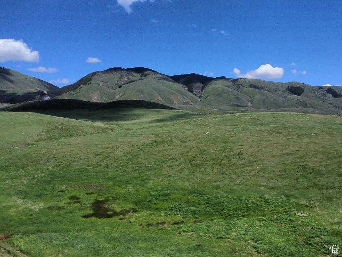 40 Acres of Recreational Land & Farm for Sale in Montpelier, Idaho