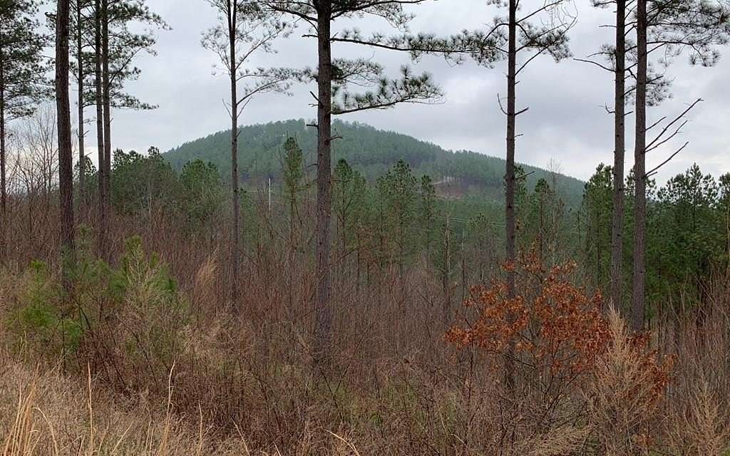 1.34 Acres of Land for Sale in Blairsville, Georgia