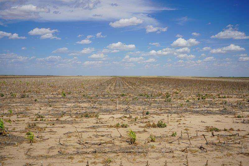 445 Acres of Land for Sale in Tribune, Kansas