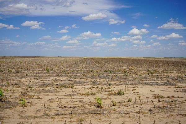 445 Acres of Land for Sale in Tribune, Kansas