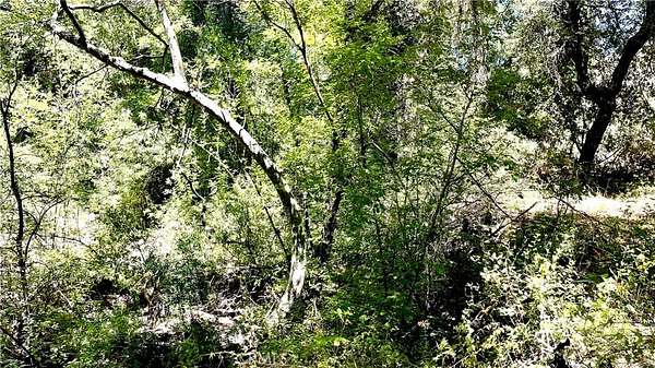 20 Acres of Land for Sale in Murrieta, California