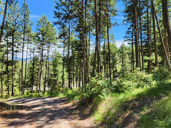 10 Acres of Residential Land for Sale in Republic, Washington