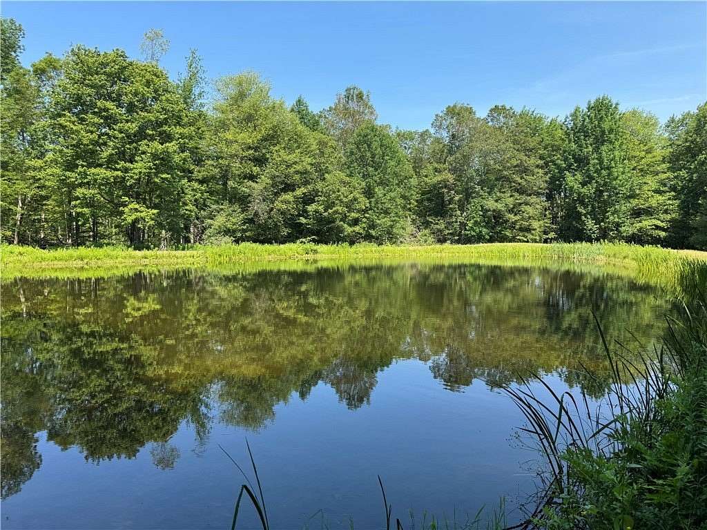 32.7 Acres of Recreational Land with Home for Sale in New Lisbon, New York