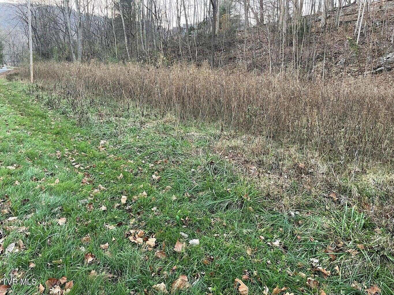 1.45 Acres of Residential Land for Sale in Unicoi, Tennessee