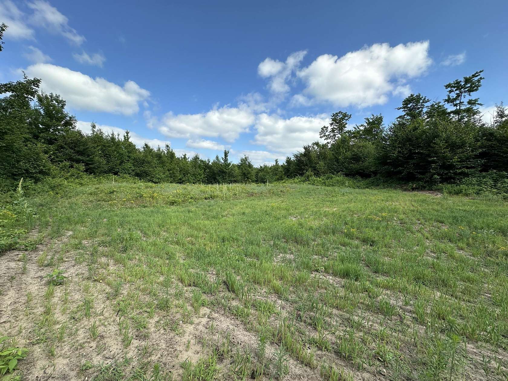 40 Acres of Recreational Land for Sale in Mancelona, Michigan