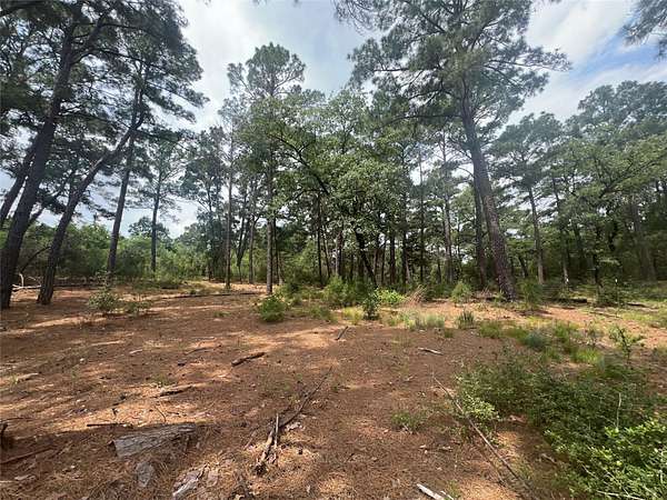 0.16 Acres of Land for Sale in Bastrop, Texas