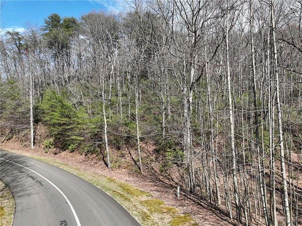 3 Acres of Residential Land for Sale in Ellijay, Georgia