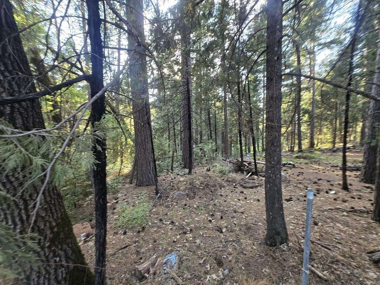 1 Acre of Land for Sale in Oak Run, California