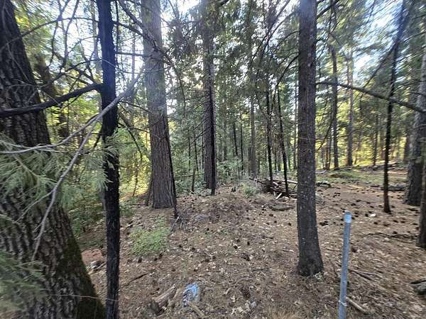 1 Acre of Land for Sale in Oak Run, California