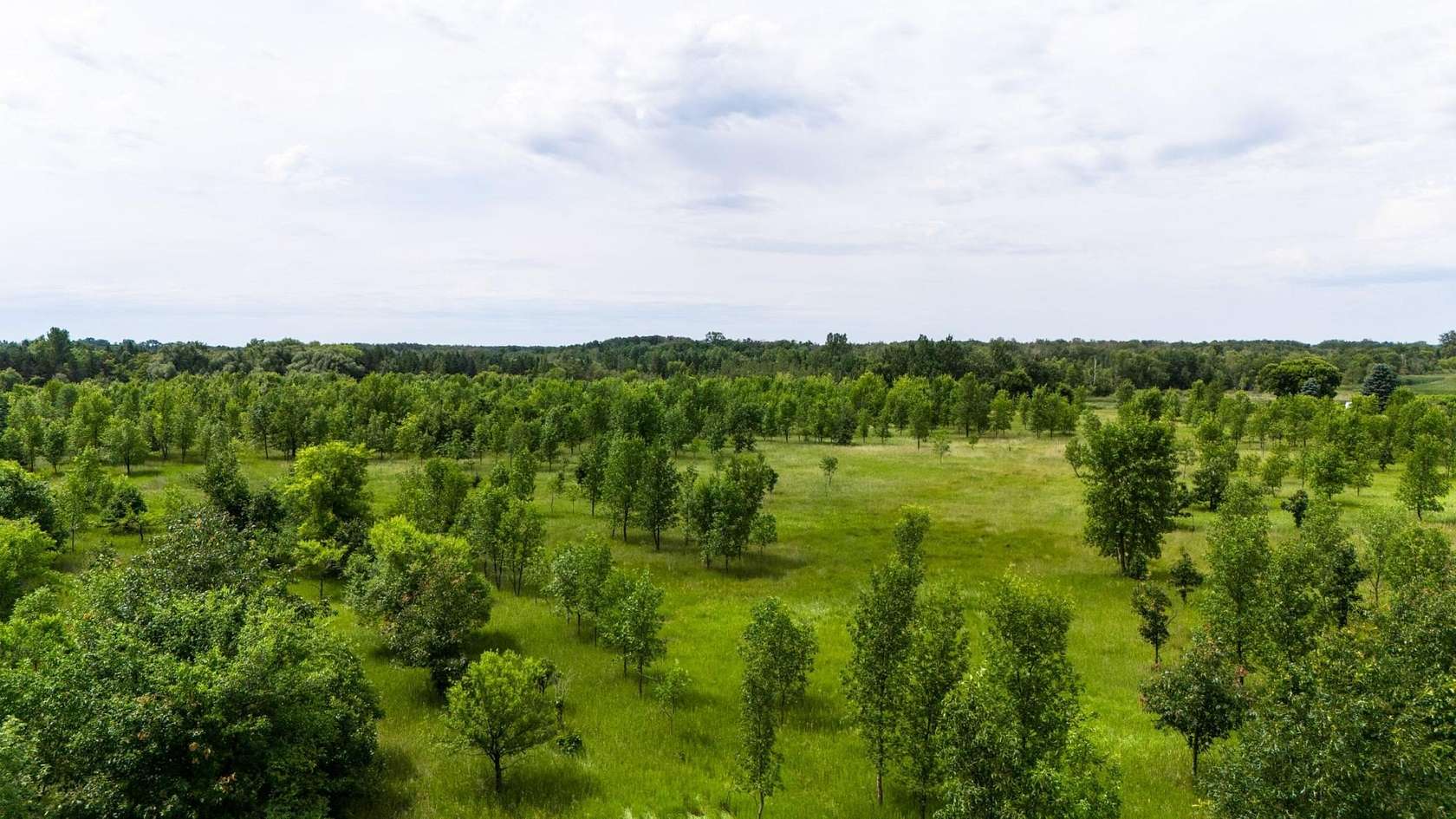 7.4 Acres of Residential Land for Sale in Carlos, Minnesota