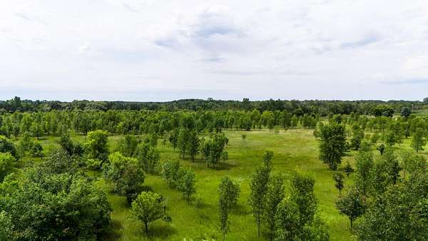 7.4 Acres of Residential Land for Sale in Carlos, Minnesota