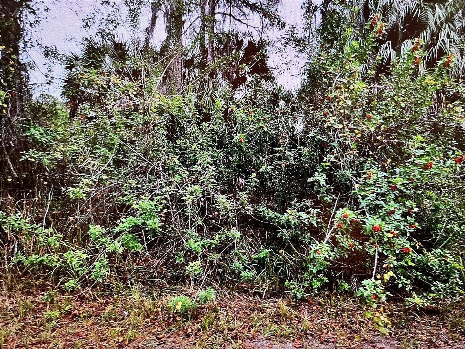 0.23 Acres of Land for Sale in North Port, Florida