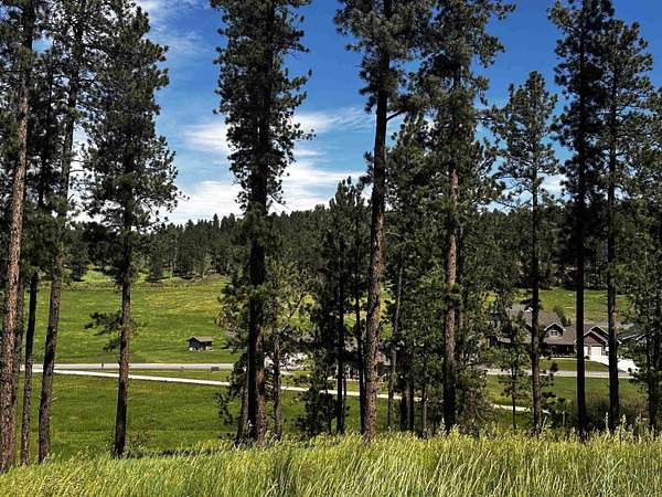 0.49 Acres of Residential Land for Sale in Hill City, South Dakota