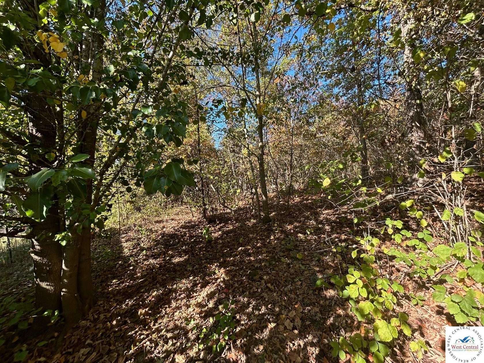 40 Acres of Recreational & Residential Land for Sale in Lincoln, Missouri