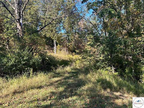 40 Acres of Recreational Land for Sale in Lincoln, Missouri