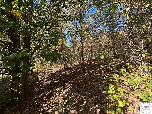 40 Acres of Recreational Land for Sale in Lincoln, Missouri