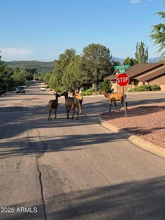 0.58 Acres of Residential Land for Sale in Payson, Arizona