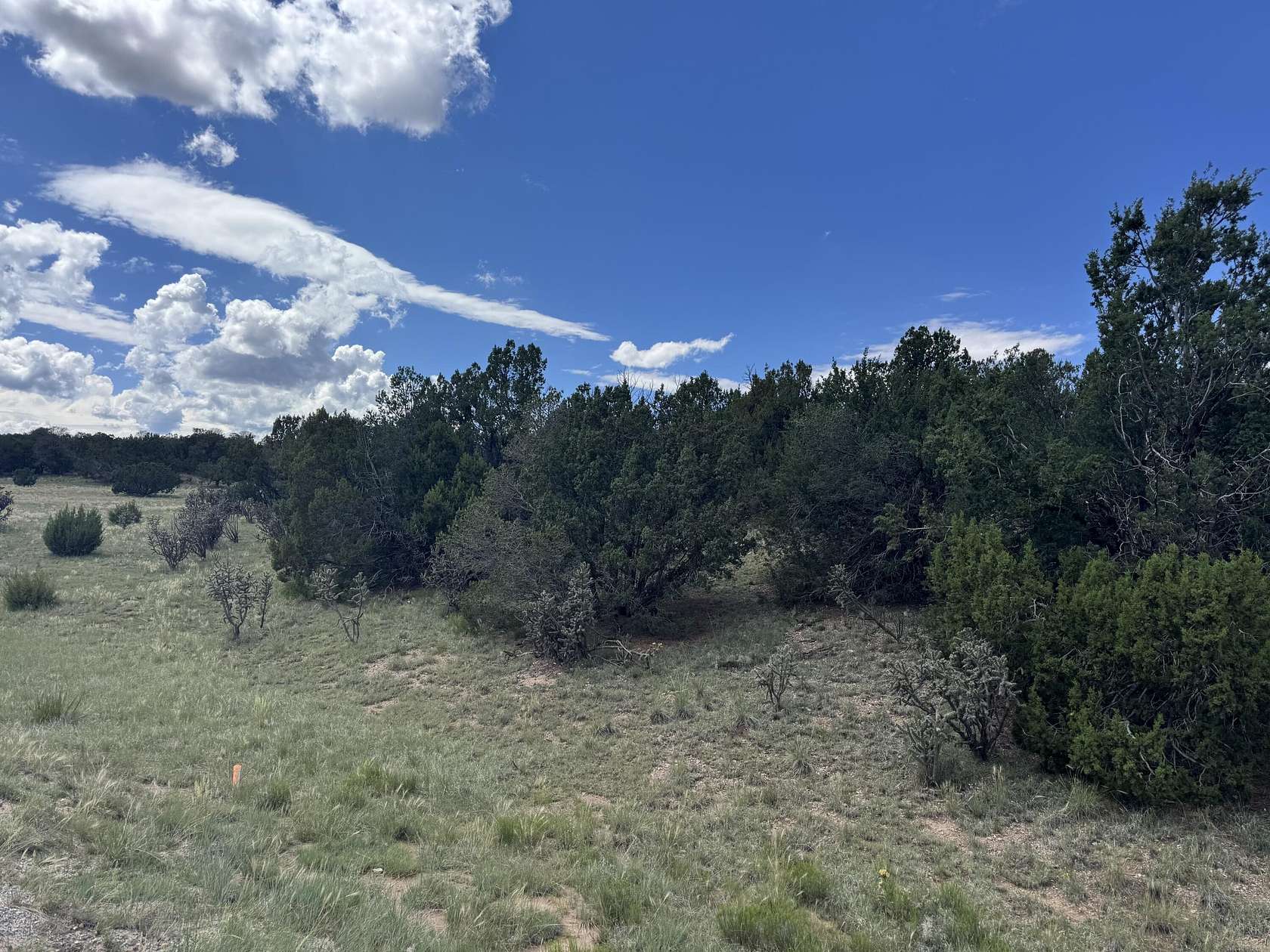 19.5 Acres of Land for Sale in Edgewood, New Mexico