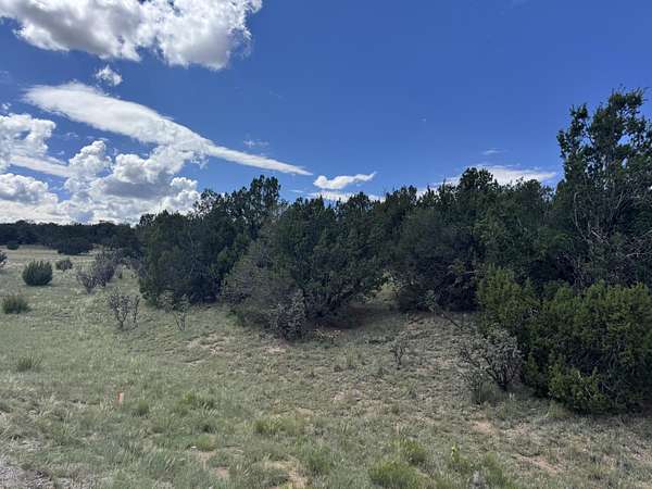 19.5 Acres of Land for Sale in Edgewood, New Mexico