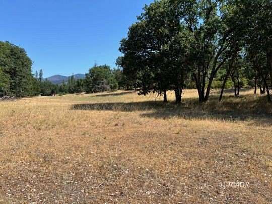 4 Acres of Residential Land for Sale in Hayfork, California