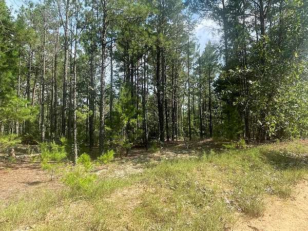 9.5 Acres of Residential Land for Sale in Mauk, Georgia