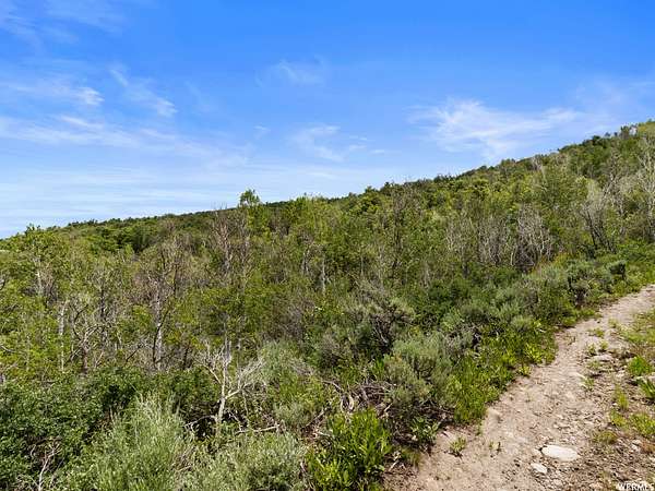 5 Acres of Residential Land for Sale in Kamas, Utah
