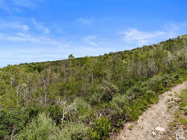 5 Acres of Residential Land for Sale in Kamas, Utah
