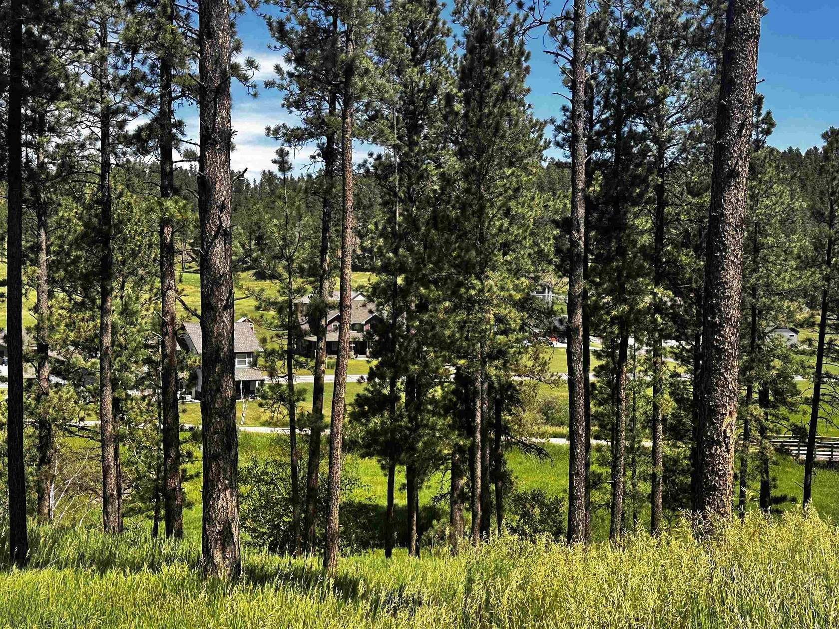 0.63 Acres of Residential Land for Sale in Hill City, South Dakota