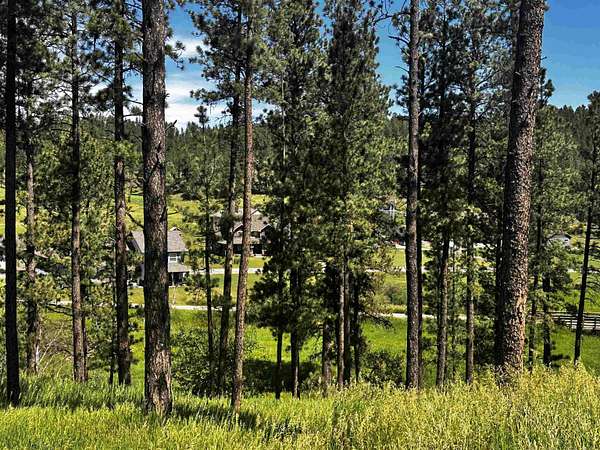 0.63 Acres of Residential Land for Sale in Hill City, South Dakota