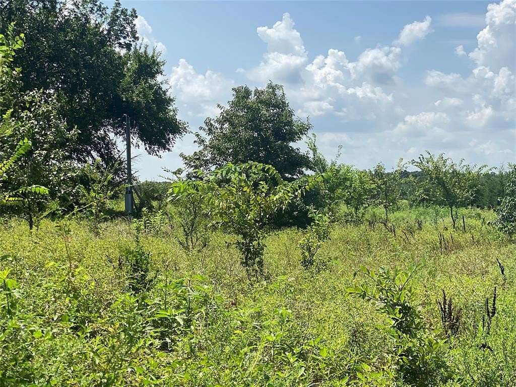 4 Acres of Land for Sale in Telephone, Texas