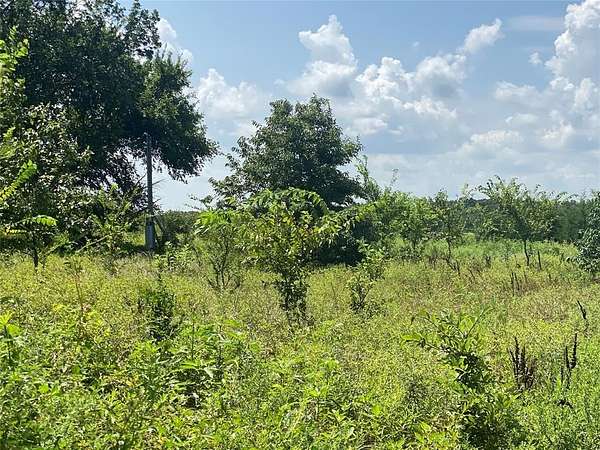 4 Acres of Land for Sale in Telephone, Texas