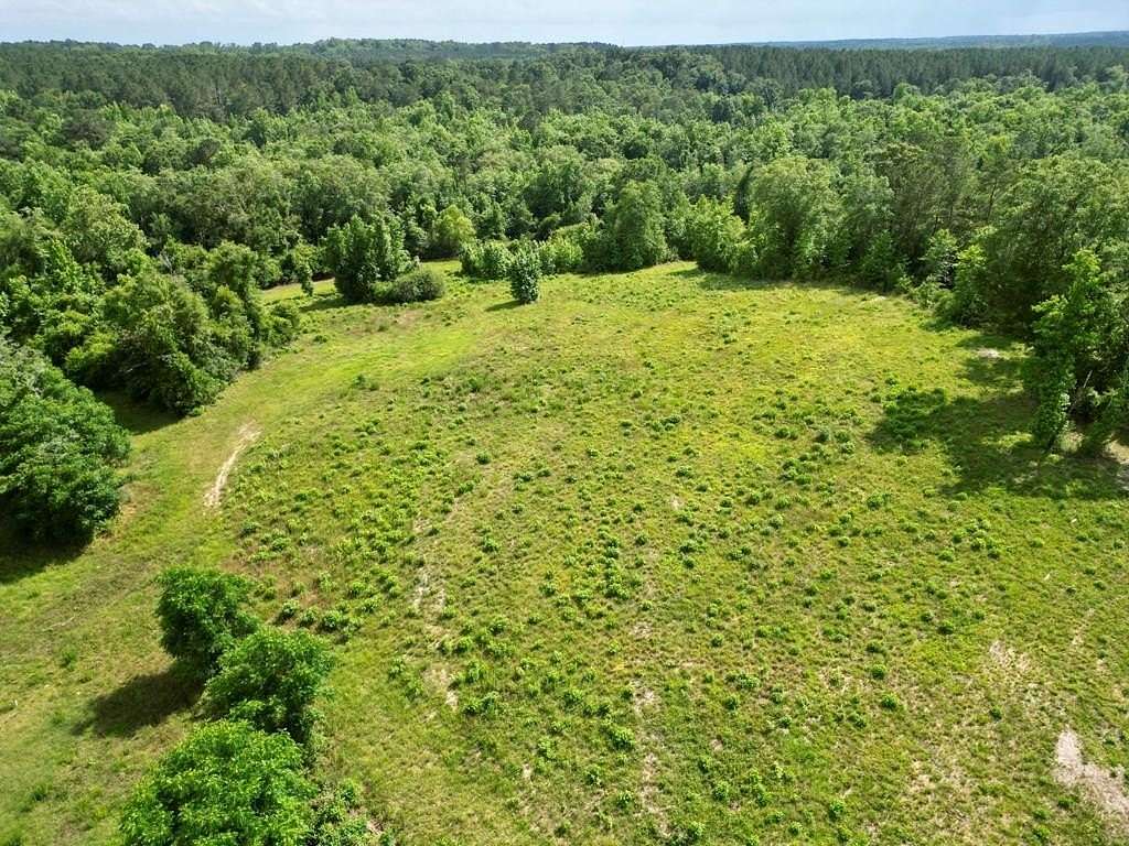 145 Acres of Land for Sale in Troy, Alabama