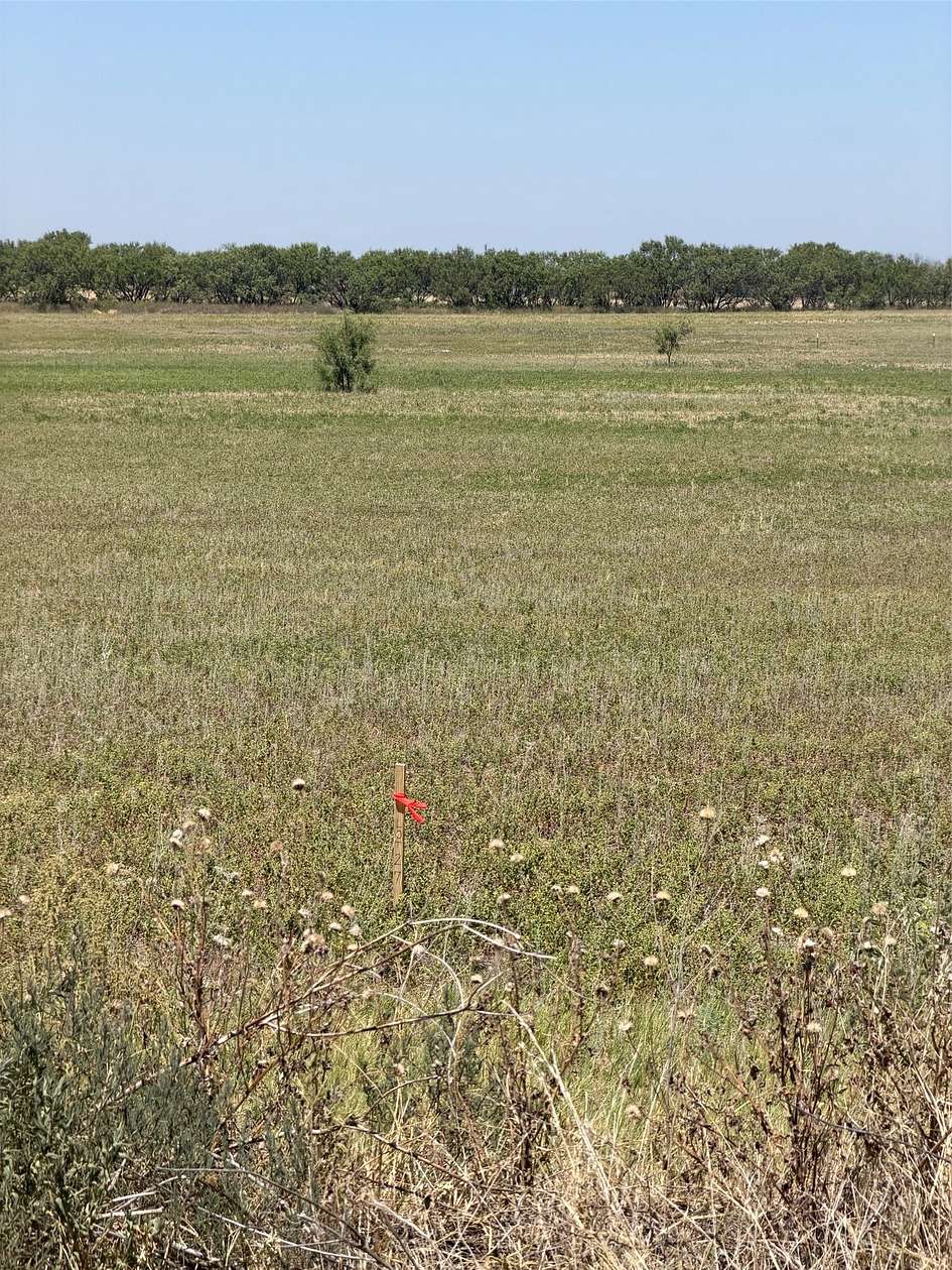 2 Acres of Residential Land for Sale in Anson, Texas