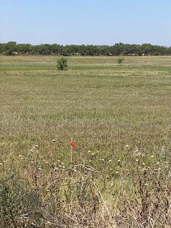 2 Acres of Residential Land for Sale in Anson, Texas