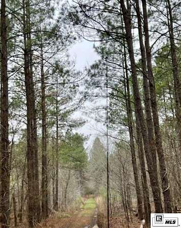 140 Acres of Recreational Land for Sale in Monroe, Louisiana