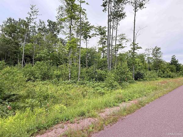 1 Acre of Residential Land for Sale in Portage, Michigan