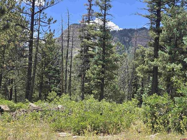 1.56 Acres of Residential Land for Sale in Durango, Colorado
